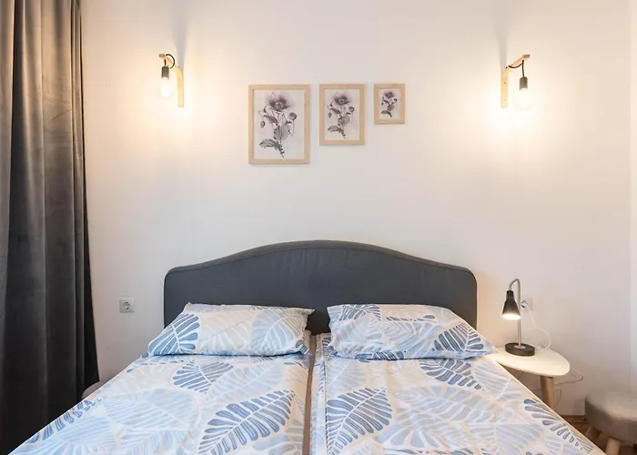 Comfort & Vibes * Varna